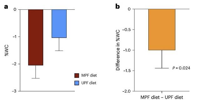 최소가공식품(MPF) 및 초가공식품(UPF) 그룹의 체중 감량 차이  최소가공식품(MPF) 및 초가공식품(UPF) 그룹이 각 식단을 8주간 이행한 후 체중 변화를 측정한 결과 두 그룹 모두 체중이 유의미하게 감소했으나 감량 폭은 크게 달랐다. 최소가공식품 그룹은 체중이 평균 2.06% 줄어 초가공식품 그룹(1.05%)보다 감량 폭이 2배 가까이 컸다. [Nature Medicine, Samuel J. Dicken et al. 제공. 재판매 및 DB 금지]