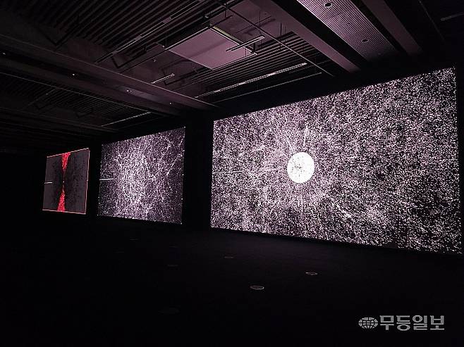 ACC '료지 이케다' 전시 'data-verse' 3부작