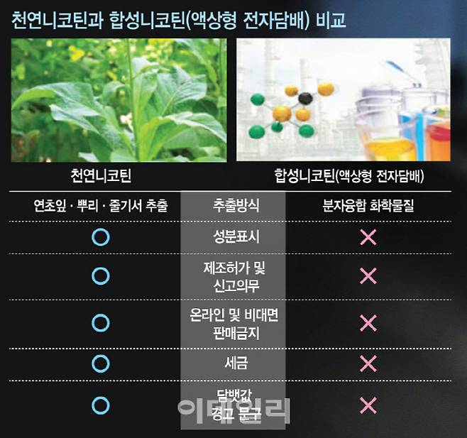 (그래픽=문승용 기자)