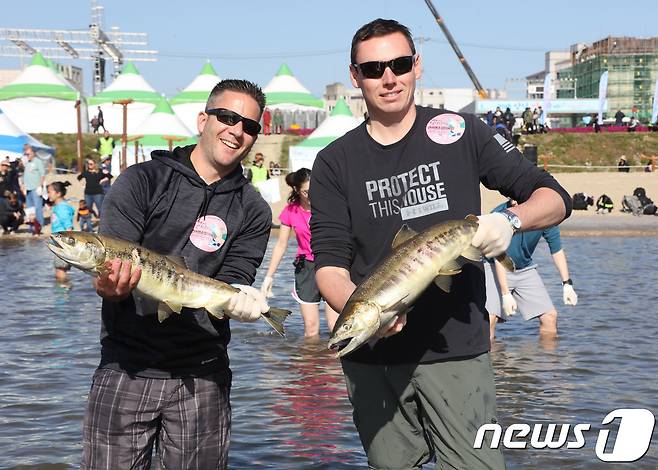 강원도 양양군 남대천 일원에서 열린 ‘2018양양연어축제’에서 연어맨손잡기 체험에 참가한 외국인 관광객들이 직접 잡은 연어를 들어 보이고 있다.(자료사진) (양양군 제공) 2018.10.21/뉴스1 ⓒ News1 고재교 기자