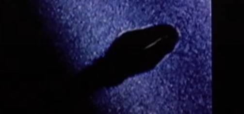 /조선일보 IT 유튜브 채널 '테킷'갤럭시Z폴드7의 접히는 힌지 부분에서 나온 검은색 액체를 현미경으로 촬영한 모습. 갤폴드 힌지 부분에는 부품 간 마찰을 줄여 접힘 동작을 부드럽게 하는 특수 윤활유가 사용되는데, 이것으로 추정된다.