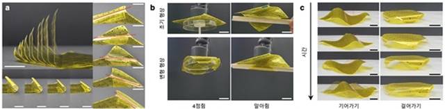 다양한 형상 변형에 따른 로봇시트 활용모습. KAIST 제공