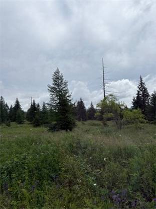 연길에서 백두산으로 향하는 길에서 만난 하늘과 들판. [사진=평화공감 포럼]