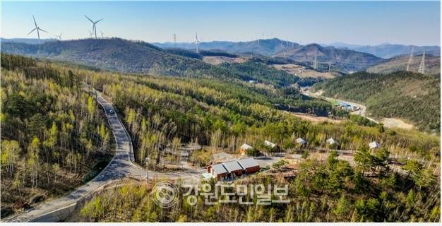 ▲ 전국적으로 폭염이 기승을 부리고 있는 가운데 열대야 없는 태백시가 강원도와 강원관광재단의 2025~2026 강원 방문의 해 ‘8월 추천 여행지’로 선정되며 여름철 최적의 관광지로 부상하고 있다. 매봉산 천상의 숲.