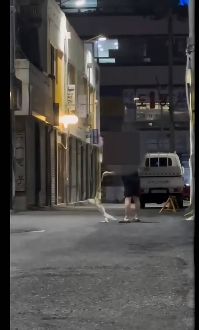 SNS에 올라온 부산에서 벌어진 개 학대 정황 의심 영상.