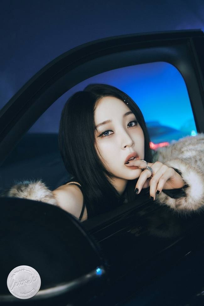 알비더블유 제공