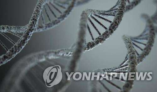 DNA 구조 [게티 이미지뱅크 제공]