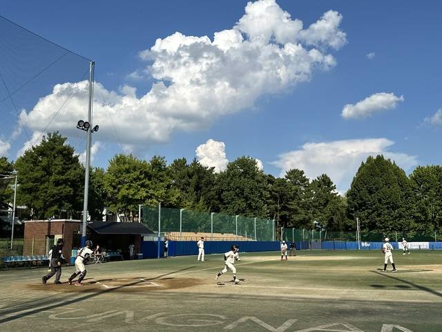 제3회 경산시장기 전국리틀야구대회가 경산물빛야구장에서 경기를 펼치고 있다. 경산시 제공
