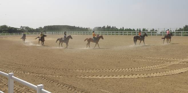 제주대학교 승마경기장에서 청소년들이 승마 훈련을 하고 있다.