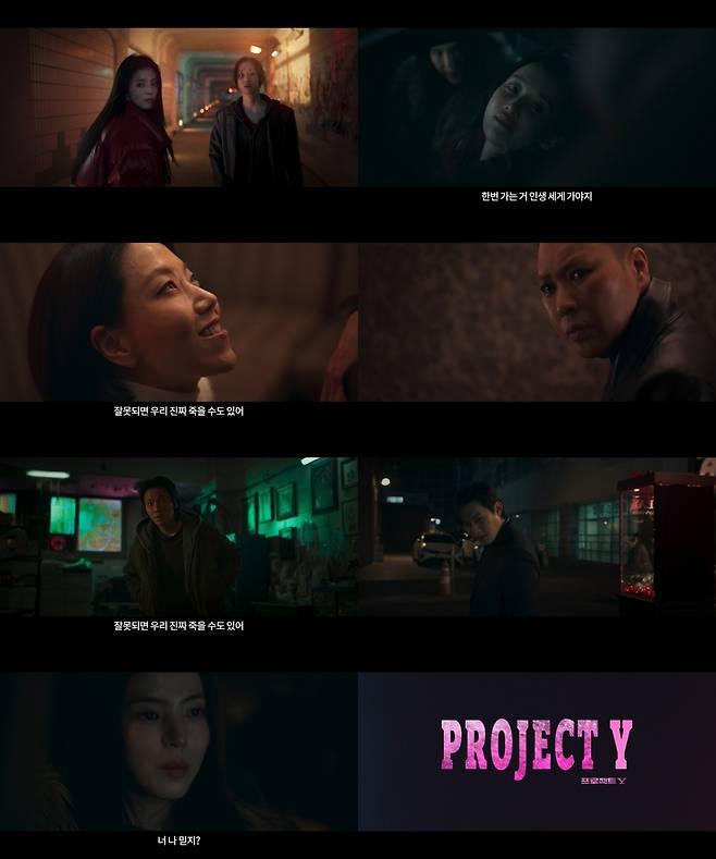 프로젝트Y