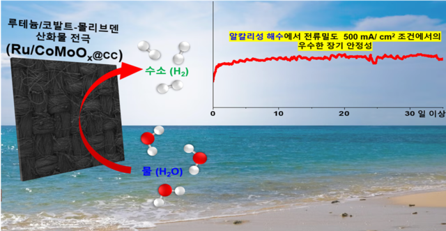 에기연이 개발한 해수 수전해용 전극 개념도. 에기연 제공