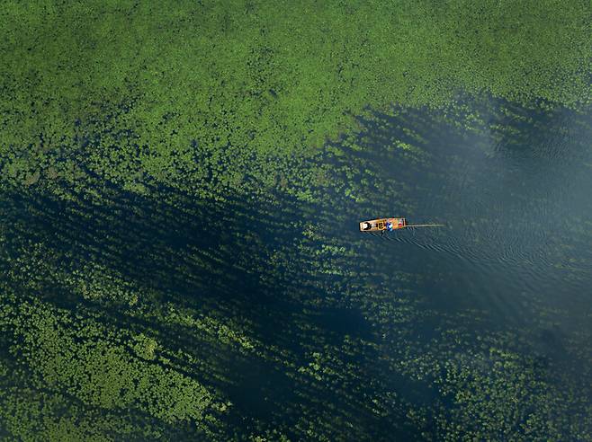 정봉채 작품. 여주국제사진전 조직위원회 제공