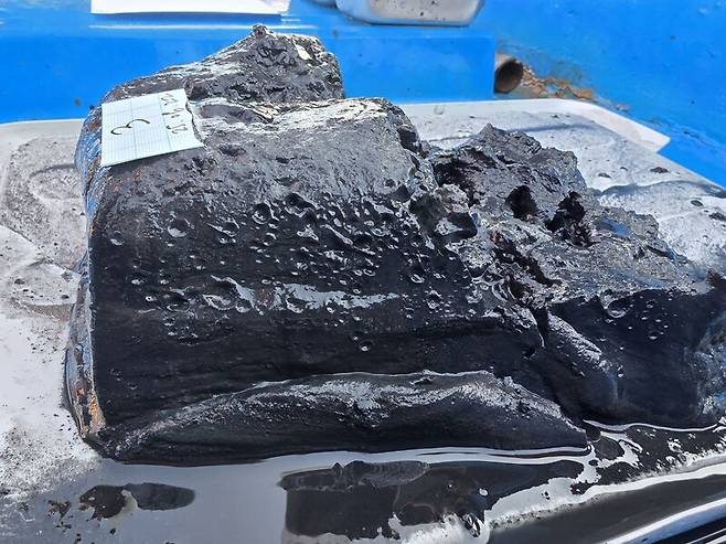 조사단이 새만금호 바닥에서 채취한 퇴적토 모습. 빈번한 빈산소로 혐기화 상태가 오래 유지돼 시커멓게 변해있다. 새만금시민생태조사단 제공