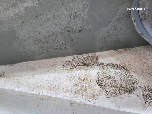 대전 중구 ‘하늘채 스카이앤 2차’에서 발생한 누수로 벽면에 곰팡이가 생긴 모습. 사진=독자 제공