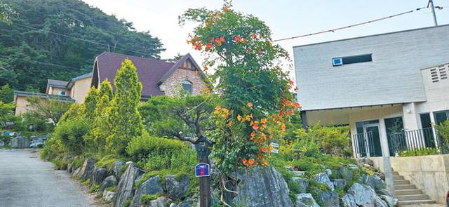 문화공간 시안은 북스테이 콘셉트의 숙소와 갤러리 건물로 이뤄져 있다.