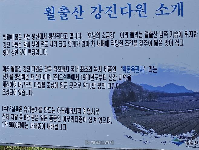 월출산 강진다원 소개