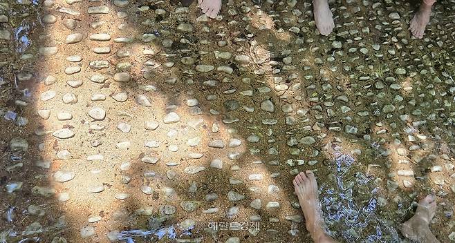 월출산 경포대 계곡