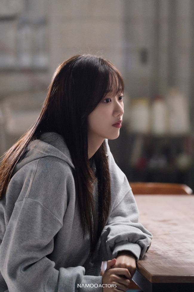 나무엑터스 제공