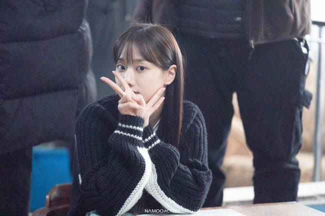 나무엑터스 제공