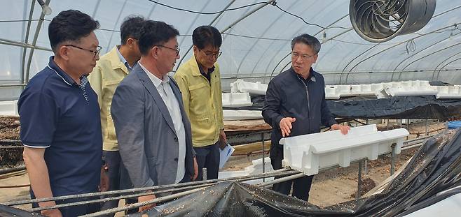 박서홍 농업경제대표이사(왼쪽에서 5번째)가 20일 집중호우로 피해를 입은 전남 담양 대전농협 관내 농가를 찾아 현장을 점검하고 있다. 농협중앙회 제공