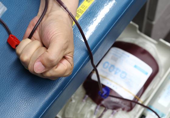 세계 헌혈자의 날을 하루 앞둔 지난 6월 13일 서울 종로구 광화문광장에 마련된 헌혈버스에서 한 시민이 헌혈을 하고 있다. 연합뉴스