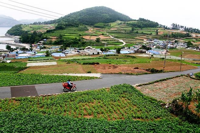 사진과 기사 내용은 관계 없음./사진=게티이미지뱅크