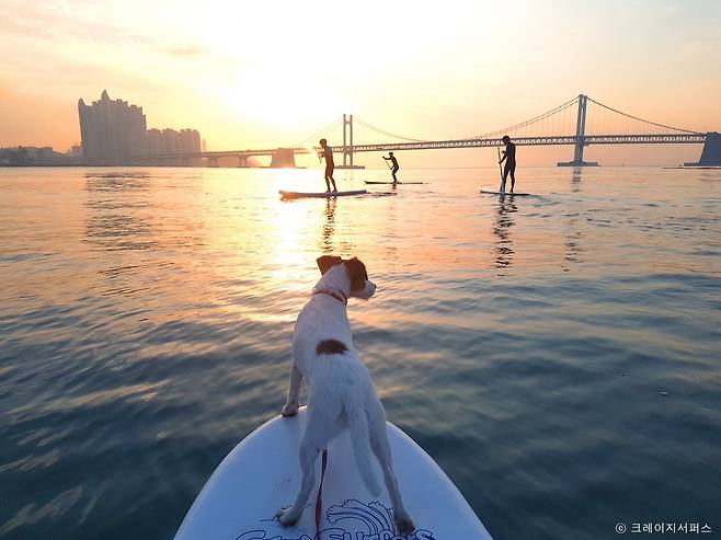 광안리 SUP(스탠드 업 패들보드)존