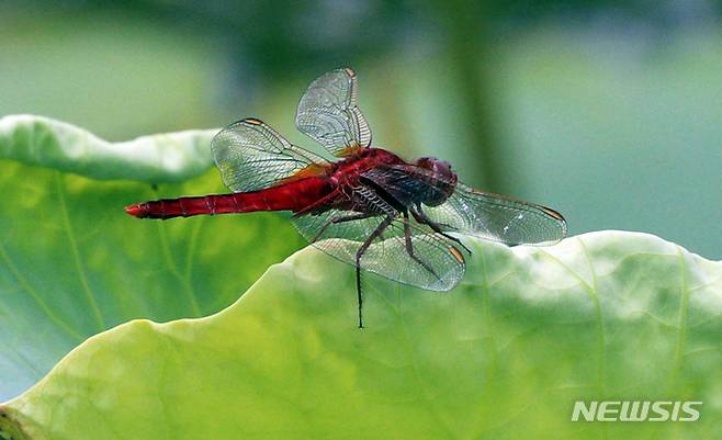 [부산=뉴시스] 해당 사진은 기사 내용과 관련이 없습니다. (사진=뉴시스 DB). photo@newsis.com