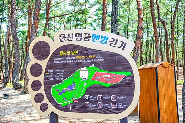 관동팔경 가운데 하나인 월송정 주변에는 천연 흙길이 조성돼 있다. 붉게 물든 노을과 소나무 숲을 따라 이어지는 맨발걷기길은 심신을 이완시켜 줌과 동시에 일상생활에 활력을 가져다 준다.