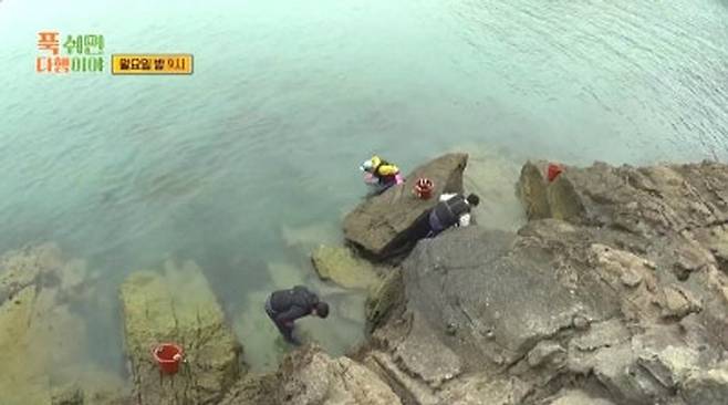 MBC 예능 ‘푹쉬면 다행이야’&nbsp;촬영지인 전남 화도. MBC 방송 화면 캡처