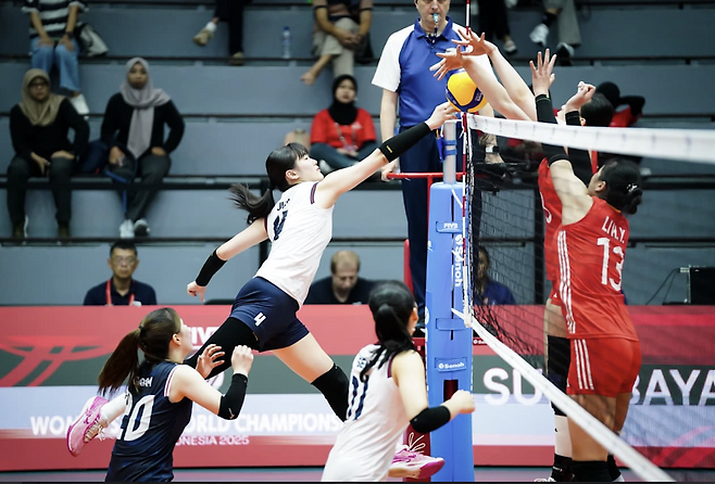 FIVB 홈페이지 캡처