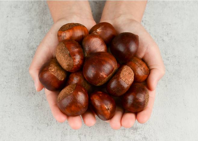 충남도 국제밤산업박람회 유치 추진