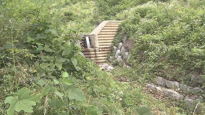 홍 선생의 유해가 묻힌 충북 청주시 낭성면 도장골. 지자체의 벌채, 사방댐 공사로 수해 방지 시설이 설치됐다.