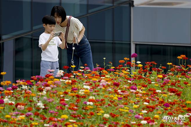 절기상 가을의 시작을 알리는 ‘입추’가 하루 지난 8일 경기 수원 국립농업박물관에서 관람객들이 백일홍을 보며 사진을 찍고 있다. 문재원 기자