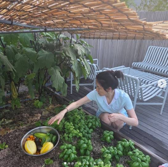 /사진=이영애 개인계정