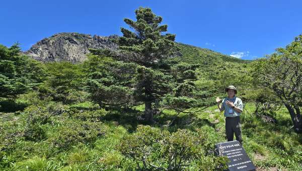 구상나무 대표목을 소개하는 김찬수 한라산생태문화연구소장