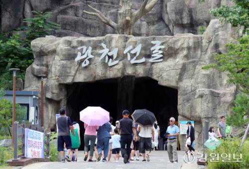 ◇12도 기온을 유지하는 더위사냥 축제장 인근 광천선굴.