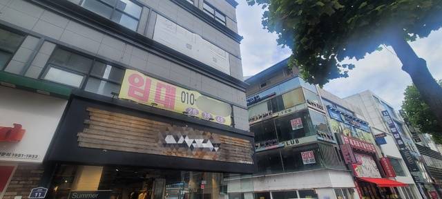 경기 침체와 고물가 등의 영향으로 대구의 전통상권이 생존기로에 놓인 가운데, 대구 중구 동성로의 상가에 임대 현수막이 줄줄이 붙어 있다. 권영진 기자