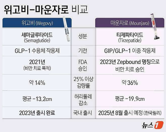 ⓒ News1 윤주희 디자이너