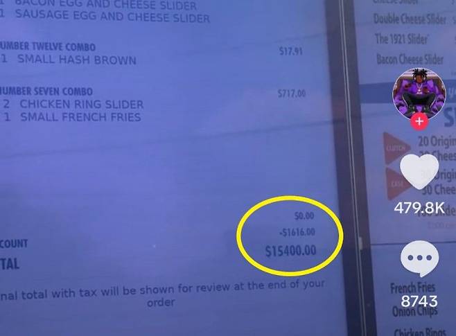 4만원어치 주문에 15400달러(약 2135만원)을 내라고 미국 한 패스트푸드점의 인공지능(AI) 종업원. 틱톡 캡처