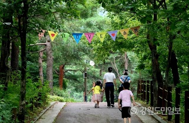 ▲ 지난 9일 강릉솔향수목원을 찾은 가족 단위 피서객들이 손을 잡고 소나무 숲길을 걷고 있다. 황선우 기자