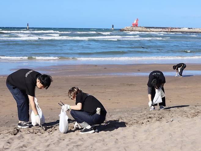 제주 현지 직장인들의 환경정화 활동