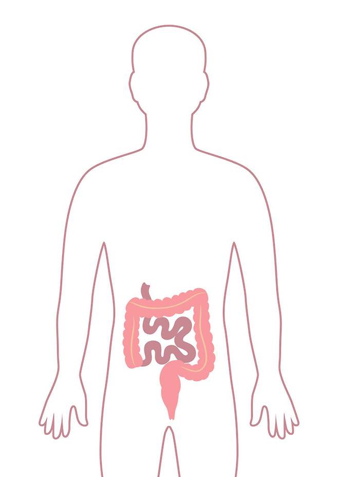 [뉴시스] 기사의 이해를 돕기 위한 이미지. (사진=유토이미지) *재판매 및 DB 금지 *재판매 및 DB 금지