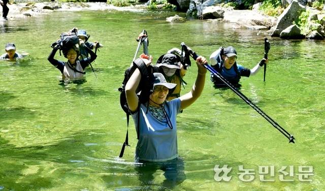 수심이 깊은 구간에선 가방이 젖지 않게 들고 이동한다. 이때 이끼가 낀 큰 바위는 밟지 않도록 주의한다.