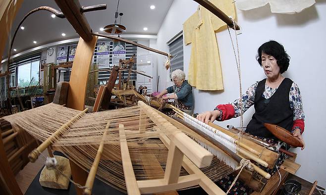 안동포 전수교육관에서 전수교육을 받고 있는 김영숙(68)씨가 베짜기를 하고 있다.
