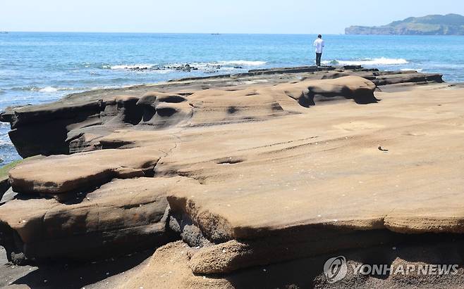 제주 사계해안 하모리층, 사진 오른쪽 뒤로 하모리층을 만든 송악산이 보인다. [촬영 고성식]