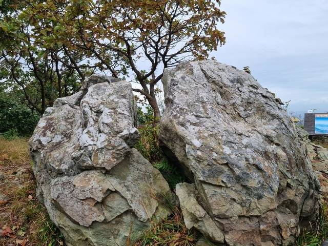 단석산 정상의 김유신이 보검으로 내려쳐 자른 단석.