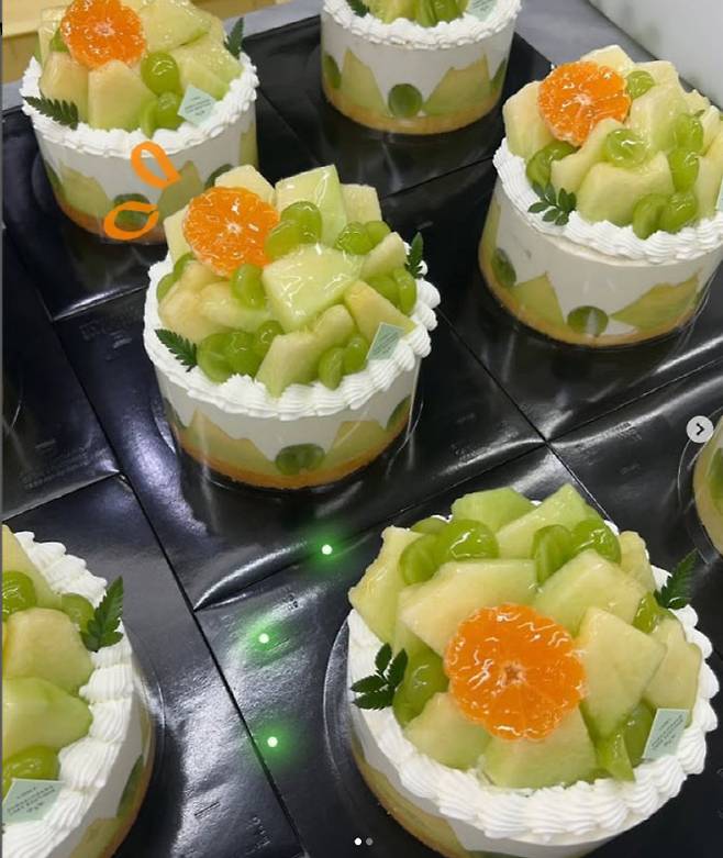 샤인이랑 멜론. (사진=성심당 인스타그램 갈무리)