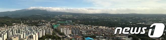 제주 도심 전경(자료사진)/뉴스1