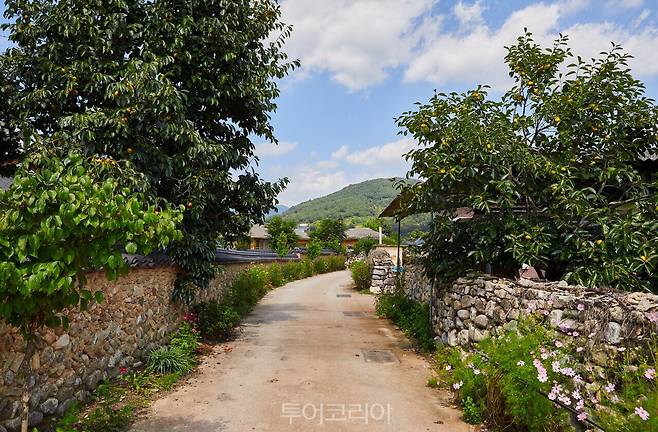 금당실 전통마을/사진-예천군
